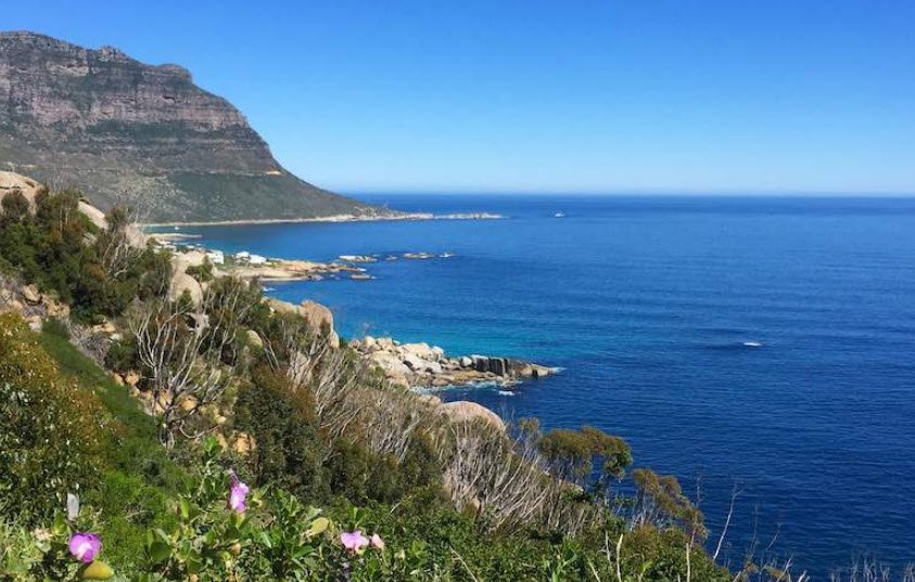 Table Mountain National Park, Cape Town, Western Cape, South Africa